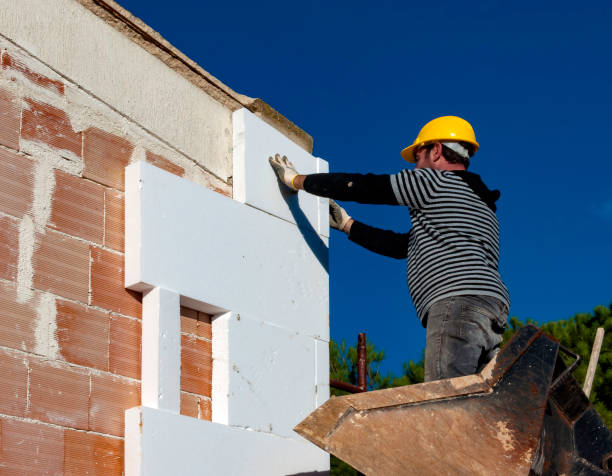 Best Home Insulation Services  in Riverside, OH